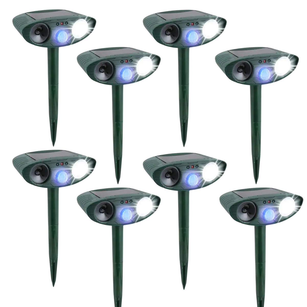 Raccoon Fortress Pro