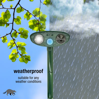 Raccoon Fortress Pro