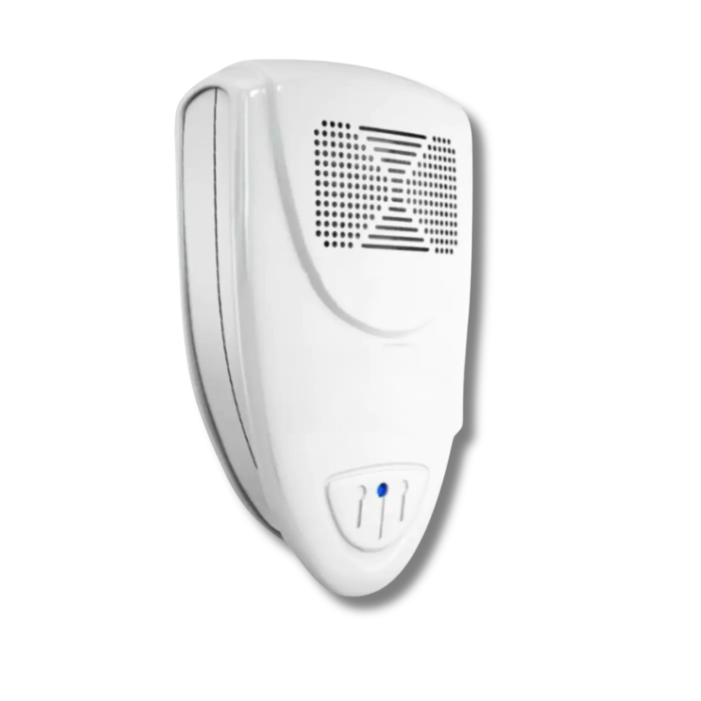 Raccoon Fortress Mini