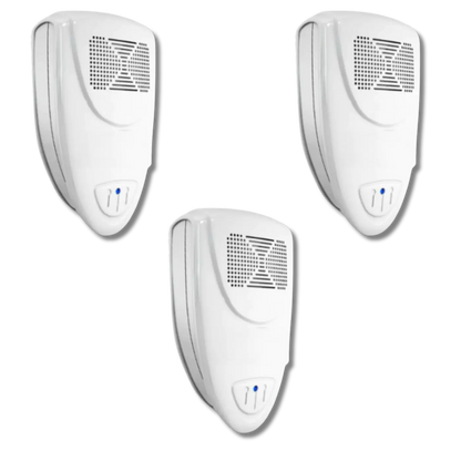 Raccoon Fortress Mini