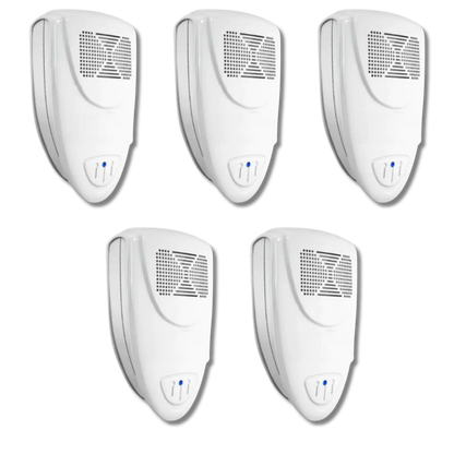 Raccoon Fortress Mini