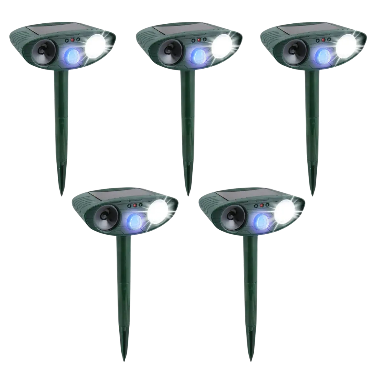 Raccoon Fortress Pro