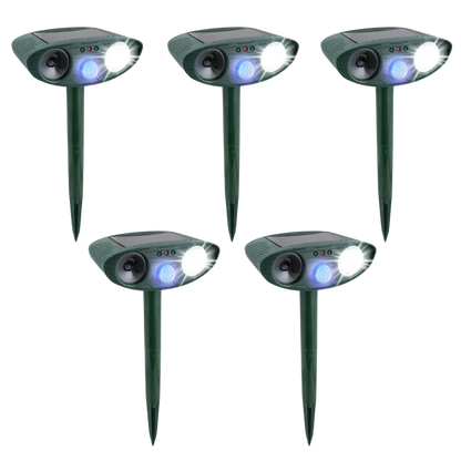 Raccoon Fortress Pro