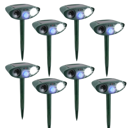 Raccoon Fortress Pro